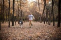 Walking the husky dog in the autumn park