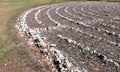 A rock labyrinth in a garden