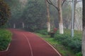 Walking lane in a park