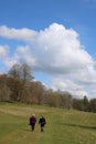 Walking in Levens Hall Deer Park, Cumbria