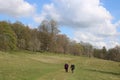 Walking in Levens Hall Deer Park, Cumbria