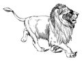 Walking Lion is a statue of lion in it natural form, vintage engraving