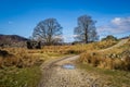 Walking at Loch Freuchie circuit at Amulree and the Rob Roy Way
