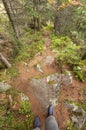 Walking long a mountain path at fall in the woods Royalty Free Stock Photo