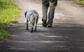 Walking man`s feet and hunting dog back view, recreation concept Royalty Free Stock Photo