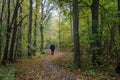 Walking man at a winding footpath at autumn Royalty Free Stock Photo