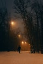 Walking man in winter park with street lights at night. Winter landscape. Snowfall in the city. Walkers on alley in evening park Royalty Free Stock Photo