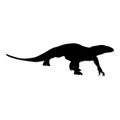 Walking Monitor Lizard Varanus Indicus On a Side View Silhouette Found In Map Of Africa, Asia And Oceania