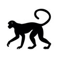 walking monkey outline Royalty Free Stock Photo