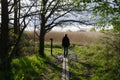 Walking in nature at spring