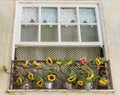 Typical window at streets of the old town of Coimbra