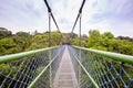 Walking over the green trees through a tree top walk in Singapore Royalty Free Stock Photo