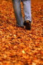 Walking through park Royalty Free Stock Photo