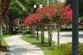 Walking in the park. Royalty Free Stock Photo