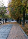 Walking through the park one autumn afternoon