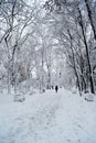 Walking in the park Royalty Free Stock Photo