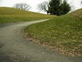 Walking Path