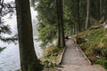 Walking path around the Mummelsee in the Black Forest in Germany Royalty Free Stock Photo
