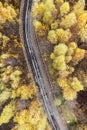 Walking path and bike lane in park, among autumn trees with colorful foliage. aerial view Royalty Free Stock Photo