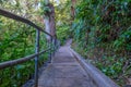 Walking Path Botanical Gardens Royalty Free Stock Photo