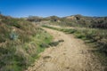 Walking Path in California Hills Royalty Free Stock Photo