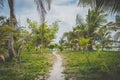 Walking path, dirt trail, walkway through tropical garden lands Royalty Free Stock Photo