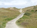 A walking path through the dunes, texel netherlands Royalty Free Stock Photo