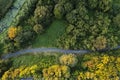 Walking path in a forest park, Aerial top down view. Fall or autumn season Royalty Free Stock Photo