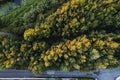 Walking path in a forest park, Aerial top down view. Fall or autumn season Royalty Free Stock Photo