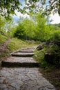 Walking path in the forest on a sunny summer day in Zlatibor, Serbia Royalty Free Stock Photo