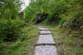 Walking path in the forest on a sunny summer day in Zlatibor, Serbia Royalty Free Stock Photo