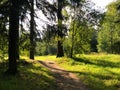 Walking path in forest surrounded by shadows of trees in sun. Sunny day, fairytale view, mysterious path. Travel concept