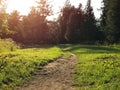 Walking path in forest surrounded by shadows of trees in sun. Sunny day, fairytale view, mysterious path. Travel concept