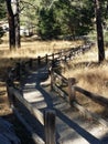 Walking path in the forest.