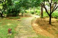 Walking Path in Garden Royalty Free Stock Photo