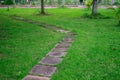 Walking path in the garden with the fresh green grass