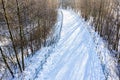 Walking path going through winter park covered with snow. aerial view Royalty Free Stock Photo