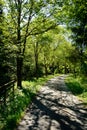 Walking path, Harz