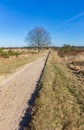 Walking path through the heather fields of Drents Friese Wold Royalty Free Stock Photo