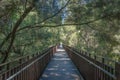 Walking path in Kings park and Botanical garden