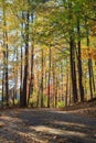 Walking path in Lake johnson park of Raleigh, NC