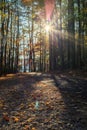 Walking path in Lake johnson park of Raleigh, NC Royalty Free Stock Photo