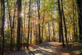 Walking path in Lake johnson park of Raleigh, NC