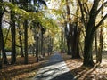Path , benchand beautiful autumn trees, Lithuania Royalty Free Stock Photo