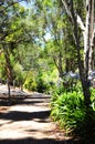 Walking path leading down to Australian bushland, Adelaide Hills. Royalty Free Stock Photo