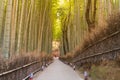 Walking path leading to bamboo Arashiyama bamboo forest Royalty Free Stock Photo