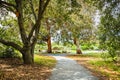 Walking path lined up with oak and eucalyptus trees in a public park in Santa Clara, South San Francisco Bay Area, California