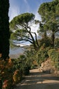 Walking path in meran, south tyrol