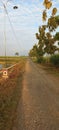 Walking Path in the middle of the Fields Royalty Free Stock Photo