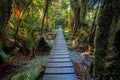 Walking path in mountain rain forest at matheson lake important Royalty Free Stock Photo